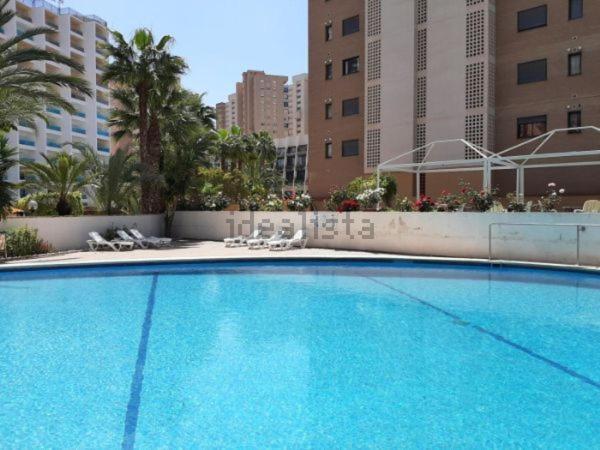 Appartement Vue Sur Mer Avenue De L'Europe بينايدورم المظهر الخارجي الصورة